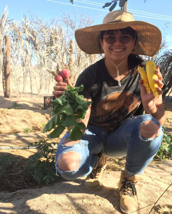 mujer con cosecha de rabanos y calabaza