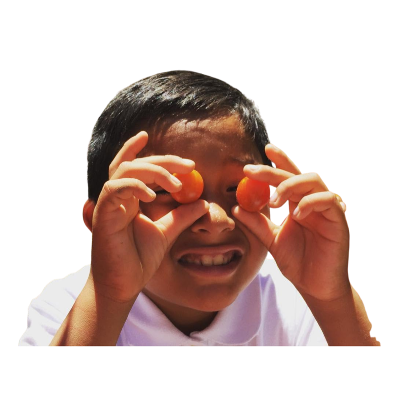 niño con tomates cherry cubriendo los ojos