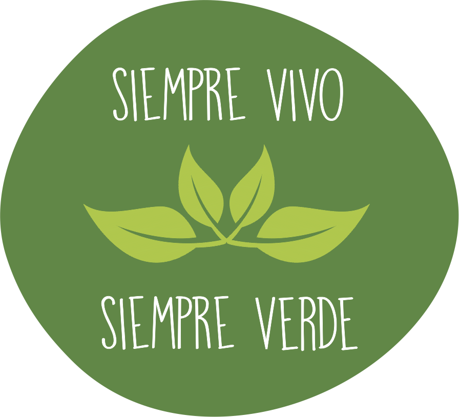 Siempre vivo y verde 
