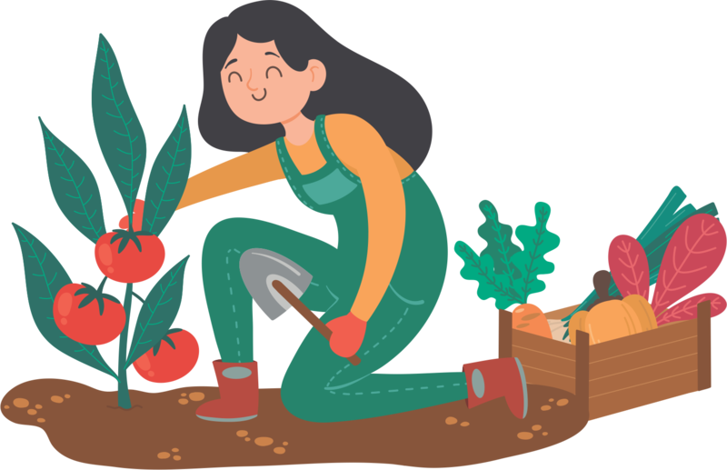 mujer con su canasta de versuras cosechadas junto a su planta de tomate